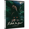 Image de To Kill the Beast