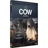 Image de Cow