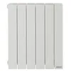 Image de Thermor - Radiateur Ã©lectrique Ã  Fluide 300w Baleares 2 - 492401
