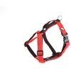 Image de Harnais Pour Chien Martin Sellier S 15 Mm Mixte Rouge