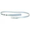 Image de Laisse Pour Chien Martin Sellier Simili Pearl Xs Mixte Gris