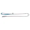 Image de Laisse Pour Chien Etoiles Martin Sellier Xs Mixte Gris