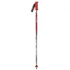 Image de Bâtons de ski VOLA New Géant Carbone