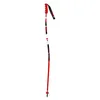 Image de Batôns de ski GS ALUMINIUM Senior