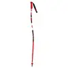 Image de Batôns de ski GS ALUMINIUM Senior