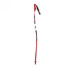 Image de Batôns de ski GS ALUMINIUM Junior