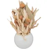 Image de POT GRES FLEURS NATURELLES SÃCHÃES 25X10CM