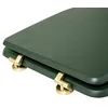 Image de Abattant WC coloris Vert