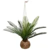 Image de Palmier Artificiel - AtmosphÃ¨ra - H 50 cm - Pot en Coco - Vert - D 55 cm