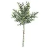 Image de Bouquet d' Eucalyptus artificiel H 64 cm
