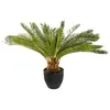 Image de PLANTE ANANAS ARTIFICIEL 72CM