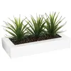 Image de Centre de table - ATMOSPHERA - Lot de 3 Aloe Vera - H17 cm - Blanc - Design contemporain