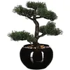 Image de BonsaÃ¯ artificiel avec pot - H. 36 cm - Noir