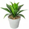 Image de AloÃ© Vera artificiel - Hauteur 34 cm - Vert