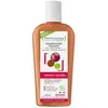 Image de Dermaclay Shampoing Traitant Cheveux Bio Argile Rouge Couleurs 250 ml