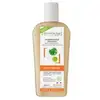 Image de Dermaclay Shampoing Traitant Bio Cuir Chevelu Sensible Argile Rose 250 ml