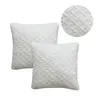 Image de Oreillers / Traversins Today  Oreiller  Lot de 2 Mémoire de forme 60x60 cm Blanc P31600007