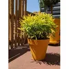 Image de Bac A Fleurs Rond Riviera Soleilla - Plastique - Diametre 60 Cm - Jaune