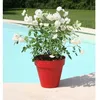 Image de Riviera Pot De Fleurs Soleilla - Rond - Ã 60 X 53.6 Cm - Rouge