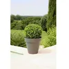 Image de Riviera Pot De Fleurs Soleilla - Rond - Ã 60 X 53.6 Cm - Gris PailletÃ©