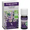 Image de Dr Valnet huile essentielle de sauge sclarée 10ml