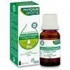 Image de Phytosun Arôms Huile Essentielle Eucalyptus Radié BIO 10ML