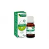 Image de Phytosun Arôms Huile Essentielle de Niaouli Bio 10ML