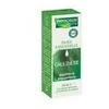 Image de Huile Essentielle De Gaultherie 10ml