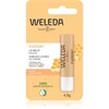 Image de Weleda Soin des Lèvres Everon 1 stick