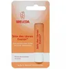 Image de Soin Levres Everon 4,8g