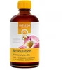 Image de Weleda Extrait De Plantes Bio Articulation Harpagophyton 100 Ml