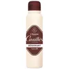 Image de RogÃ© CavaillÃ¨s DÃ©odorants Homme 48 Heures Spray 150ml