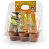 Image de Interseed - 738 - Jeu De Plein Air - Mon Premier Jardin - 6 Pots