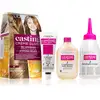 Image de Crème Casting L'Oréal Paris Gloss teinture pour cheveux couleur 700 miel