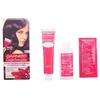 Image de Garnier Color Sensation 3,16 Intense Violin
