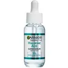 Image de Garnier Super SÃ©rum Repulpant Hyaluronic Aloe 30 Ml