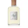 Image de Ralph Lauren Pôle Earth Antilles Vetiver Eau de Toilette unisexe 100 ml