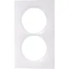 Image de Plaque Odace Styl Schneider 2 Postes - Blanc S520714