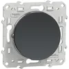 Image de Poussoir - Anthracite - ODACE SCHNEIDER