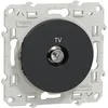 Image de Prise TV ODACE simple - SCHNEIDER ELECTRIC - S540445