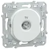 Image de Prise TV simple Ovalis Schneider Blanc