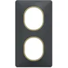 Image de Plaque de finition 2 postes Schneider Electric Ovalis S340724E coloris anthracite avec liserÃ© laiton l.87 x P.10 x H.158 mm