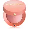Image de Bourjois Petit pot rond Blush 95 Rose De Jaspe 2,5 g