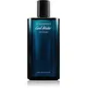 Image de Davidoff Eau fraîche Intense EDP M 125ml