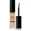 Image de Lancome Ultra Wear All Over - Anti-cernes multi-usage confort et couvrance jusqu'à 24H 010 - Beige Porcelaine