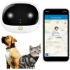 Image de Traceur GPS 4G pour Animaux Chien Chat avec App de Suivi Android et iOS Or YONIS