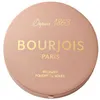 Image de Enlumineurs Bourjois  Maxi Round Pot Blusher Powder light Medium P29826910