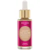 Image de Enlumineurs Bourjois  Good To Glow Iluminador 2 P31875659