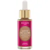 Image de Enlumineurs Bourjois  Good To Glow Iluminador 5 P32329453