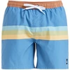 Image de Maillots de bain Quiksilver  Everyday Straight 15" P29775091